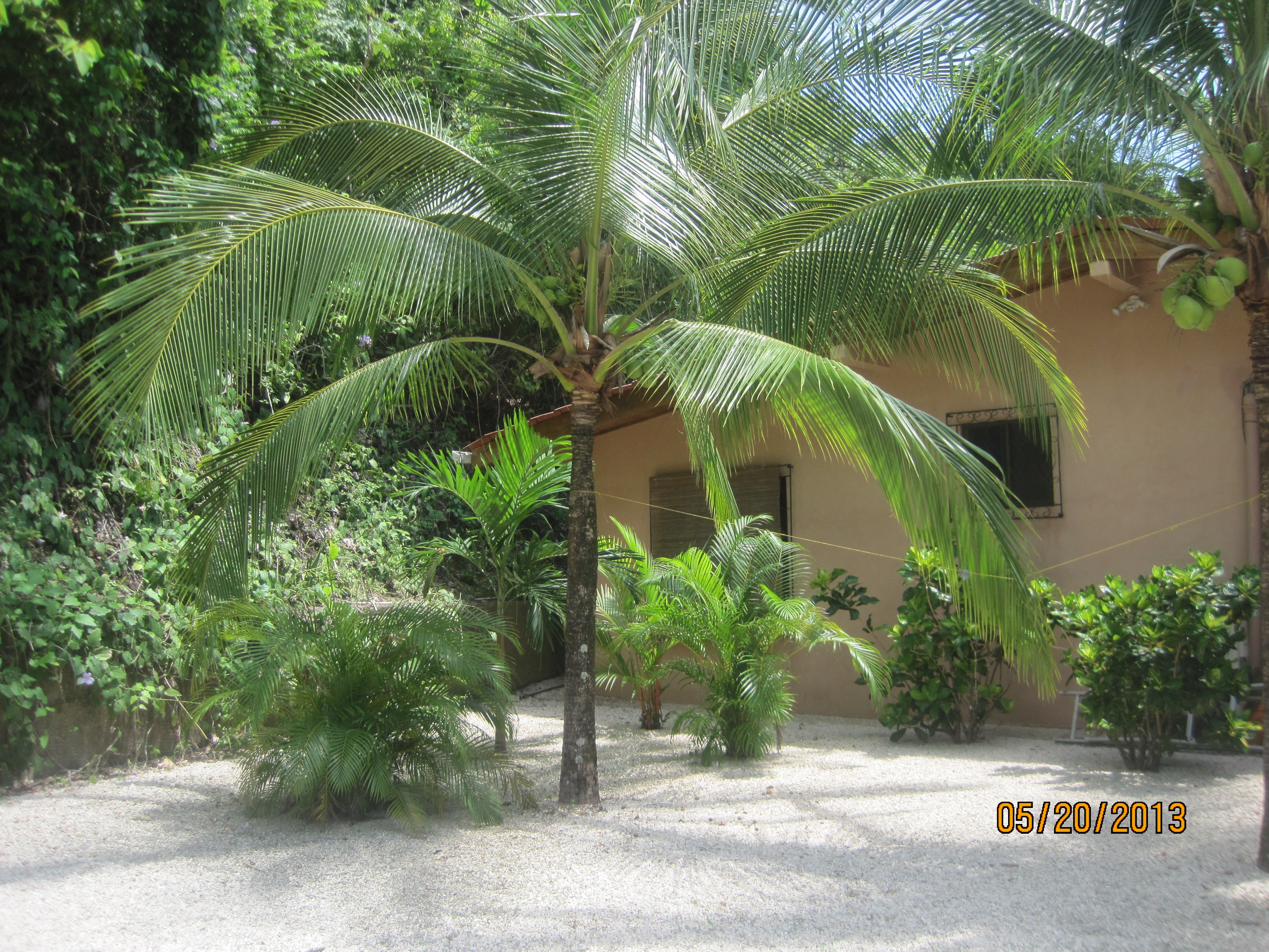 2 bed Single Family Homes For Sale in Samara, Guanacaste - thumb 20