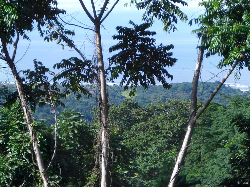 0 bed Land For Sale in Uvita, Puntarenas - 1