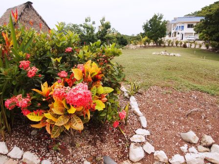 2 bed Single Family Homes For Sale in Samara, Guanacaste - thumb 24