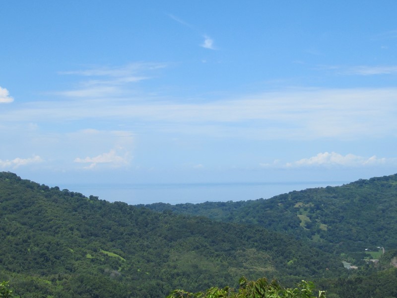 0 bed Land For Sale in Dominical, Puntarenas - 1