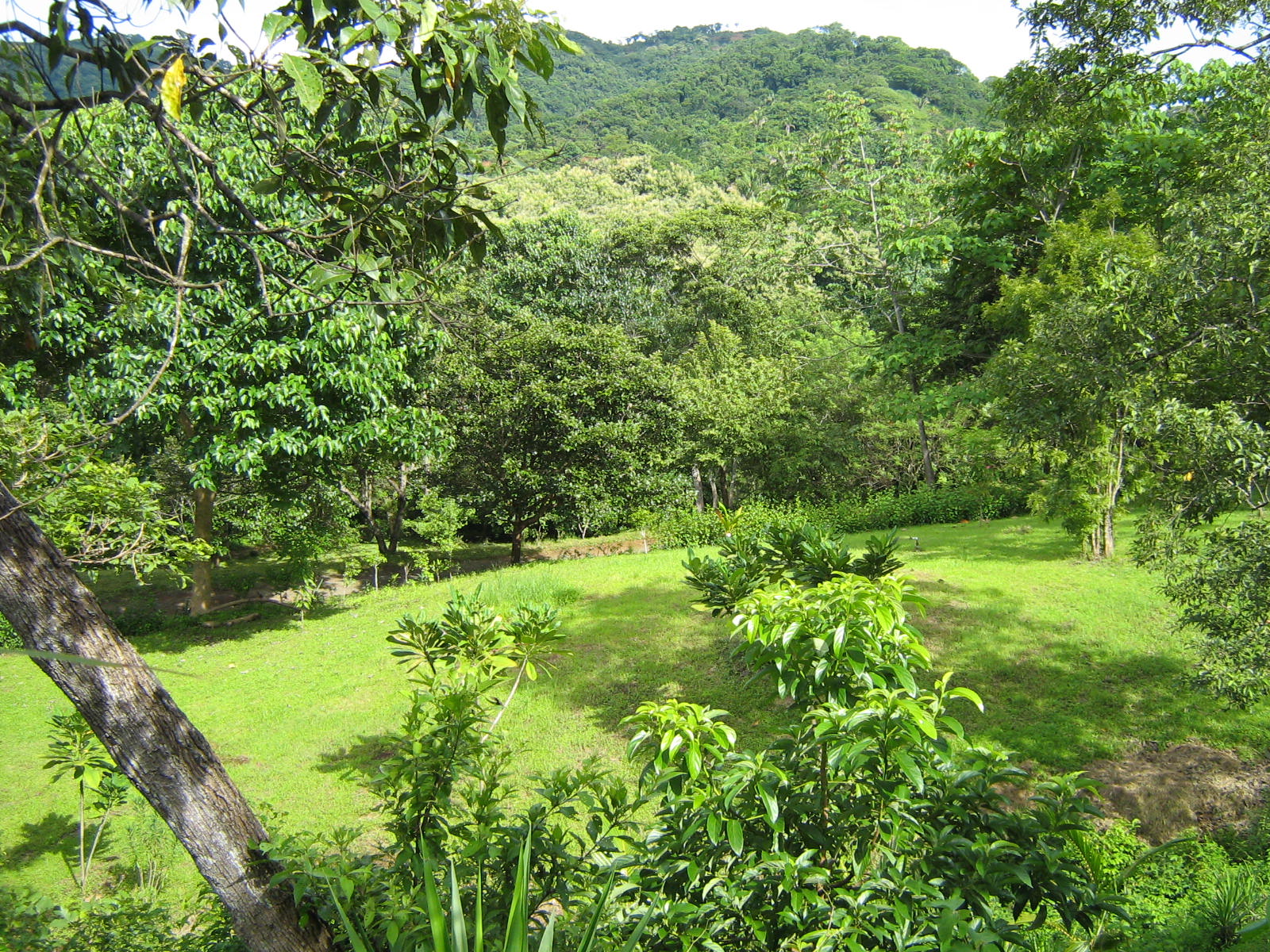 4 bed Single Family Homes For Sale in Playa Carrillo, Guanacaste - thumb 14