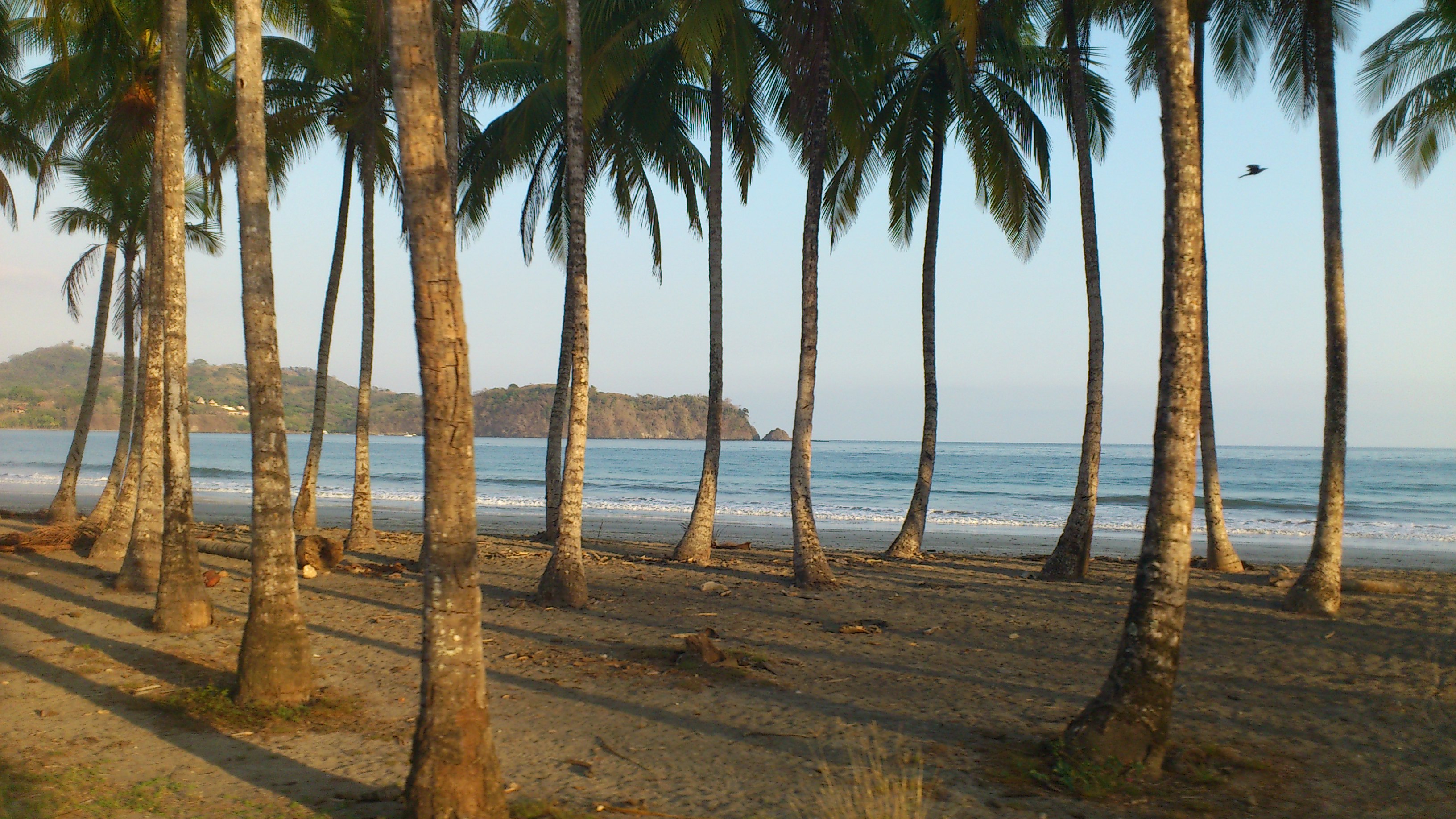 4 bed Single Family Homes For Sale in Playa Carrillo, Guanacaste - thumb 6