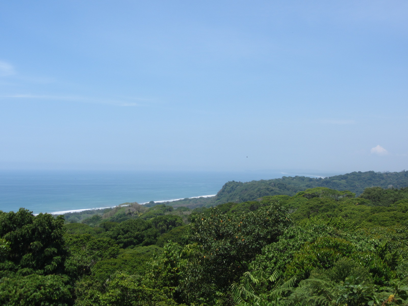 0 bed Land For Sale in Dominical, Puntarenas - thumb 1