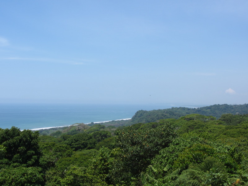 0 bed Land For Sale in Dominical, Puntarenas - 1