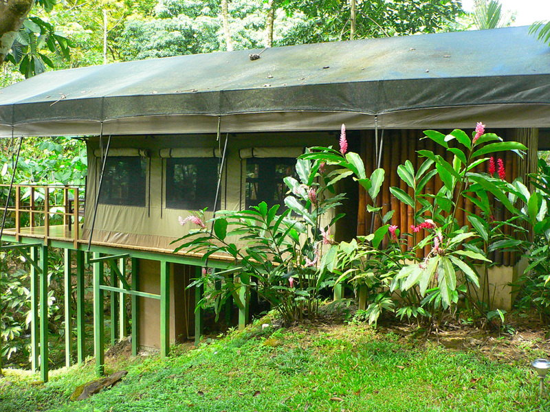 12 bed Hotel / Leisure For Sale in Ojochal, Puntarenas - 1