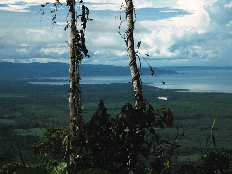 0 bed Land For Sale in Ojochal, Puntarenas - 1