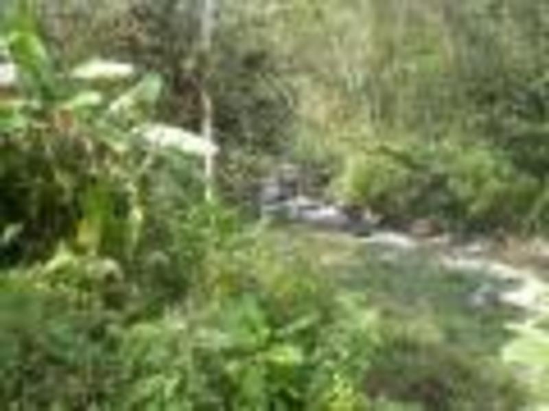 10 bed Hotel / Leisure For Sale in Orosi, Cartago - 1