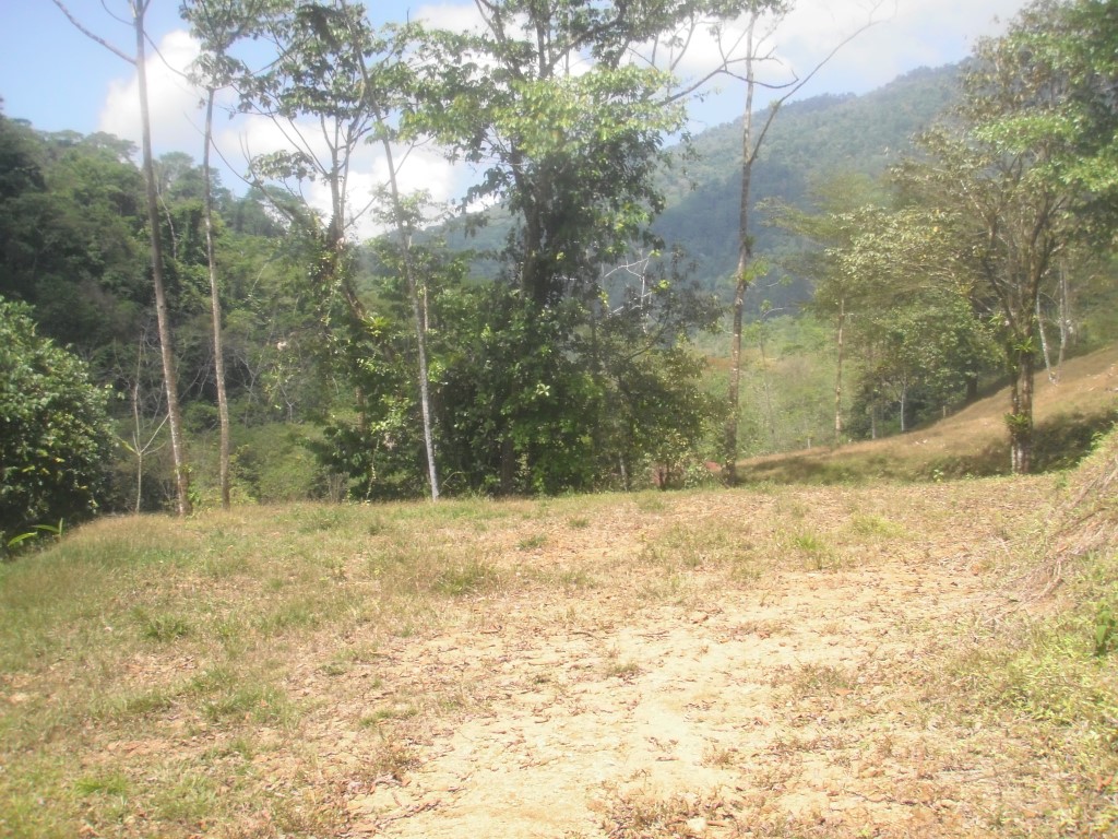 0 bed Land For Sale in Quepos, Puntarenas - thumb 10