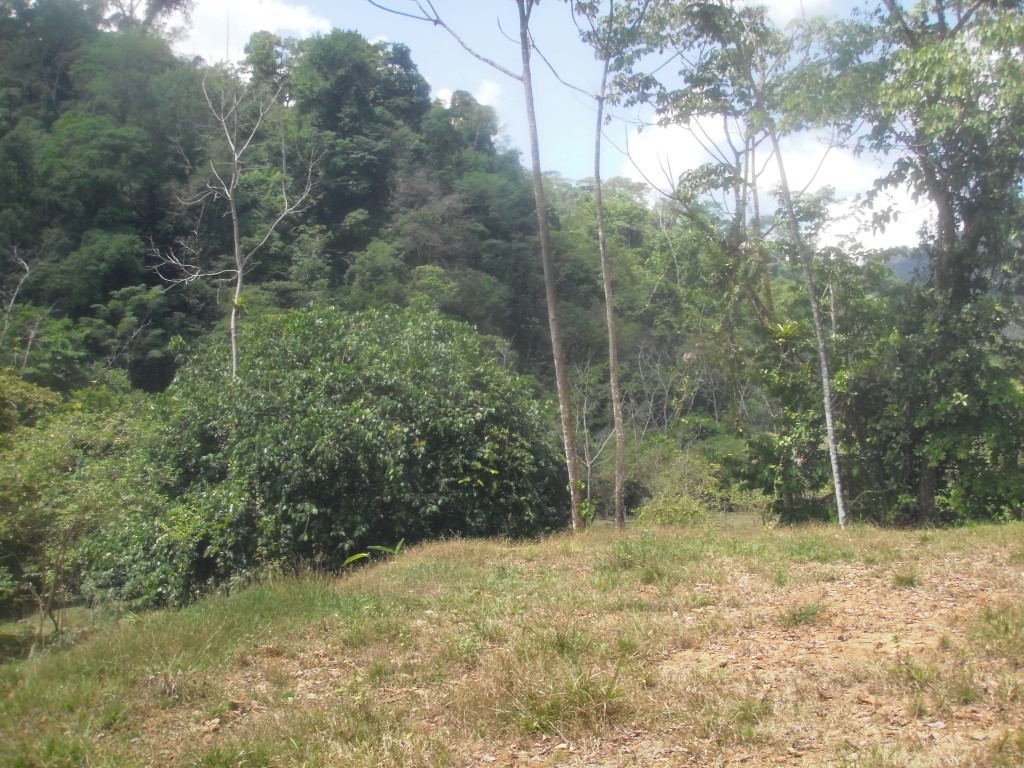 0 bed Land For Sale in Quepos, Puntarenas - thumb 9