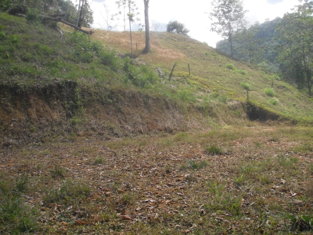0 bed Land For Sale in Quepos, Puntarenas - thumb 8
