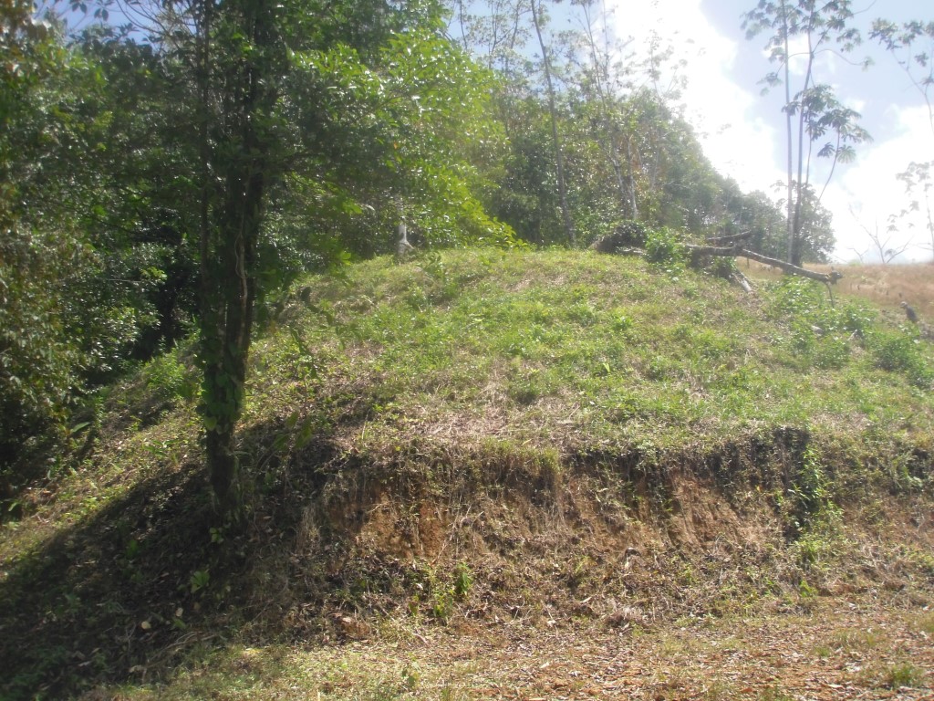 0 bed Land For Sale in Quepos, Puntarenas - thumb 7
