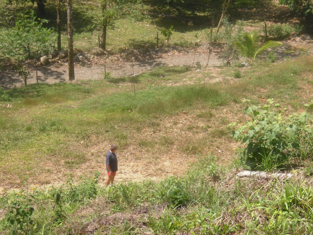 0 bed Land For Sale in Quepos, Puntarenas - thumb 6