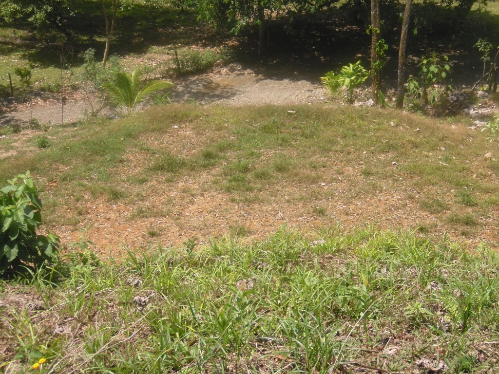 0 bed Land For Sale in Quepos, Puntarenas - thumb 5