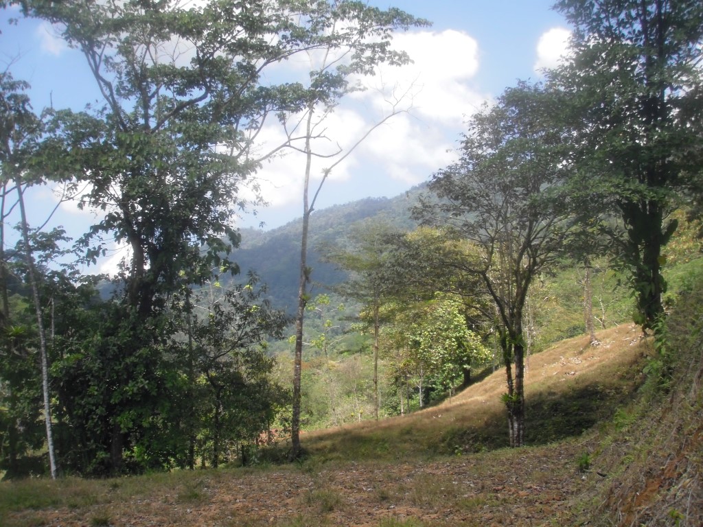 0 bed Land For Sale in Quepos, Puntarenas - thumb 1