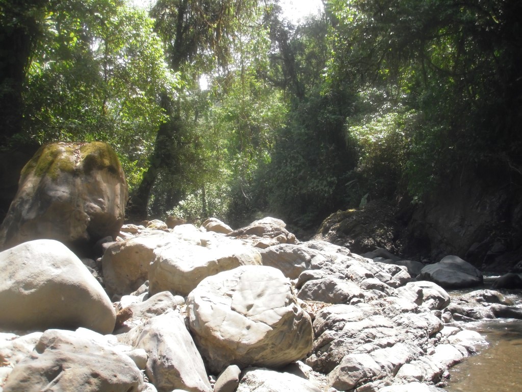 0 bed Land For Sale in Quepos, Puntarenas - thumb 3