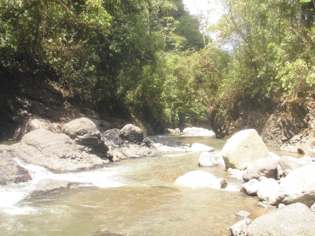 0 bed Land For Sale in Quepos, Puntarenas - thumb 4