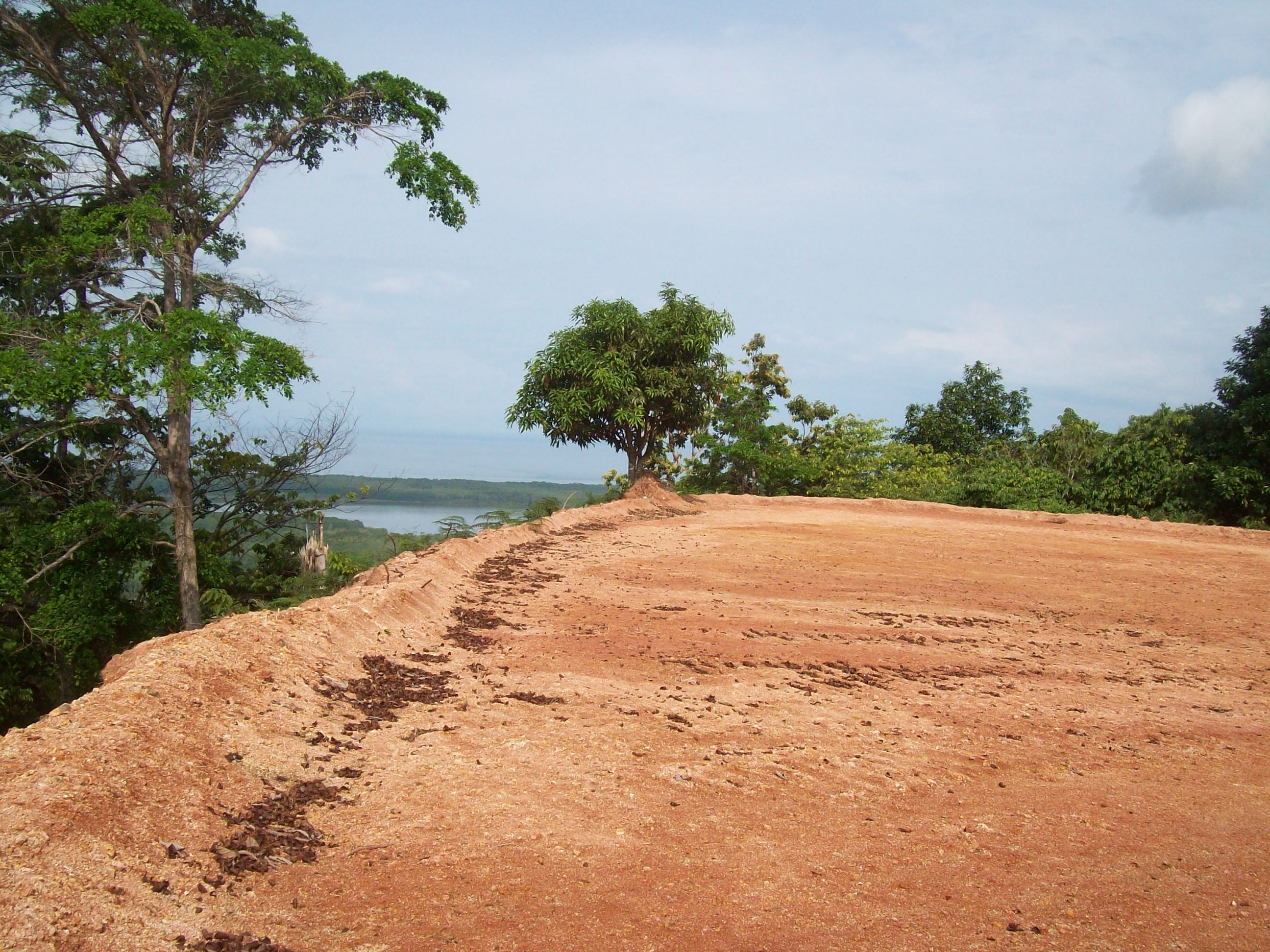 0 bed Land For Sale in Ojochal, Puntarenas - thumb 4