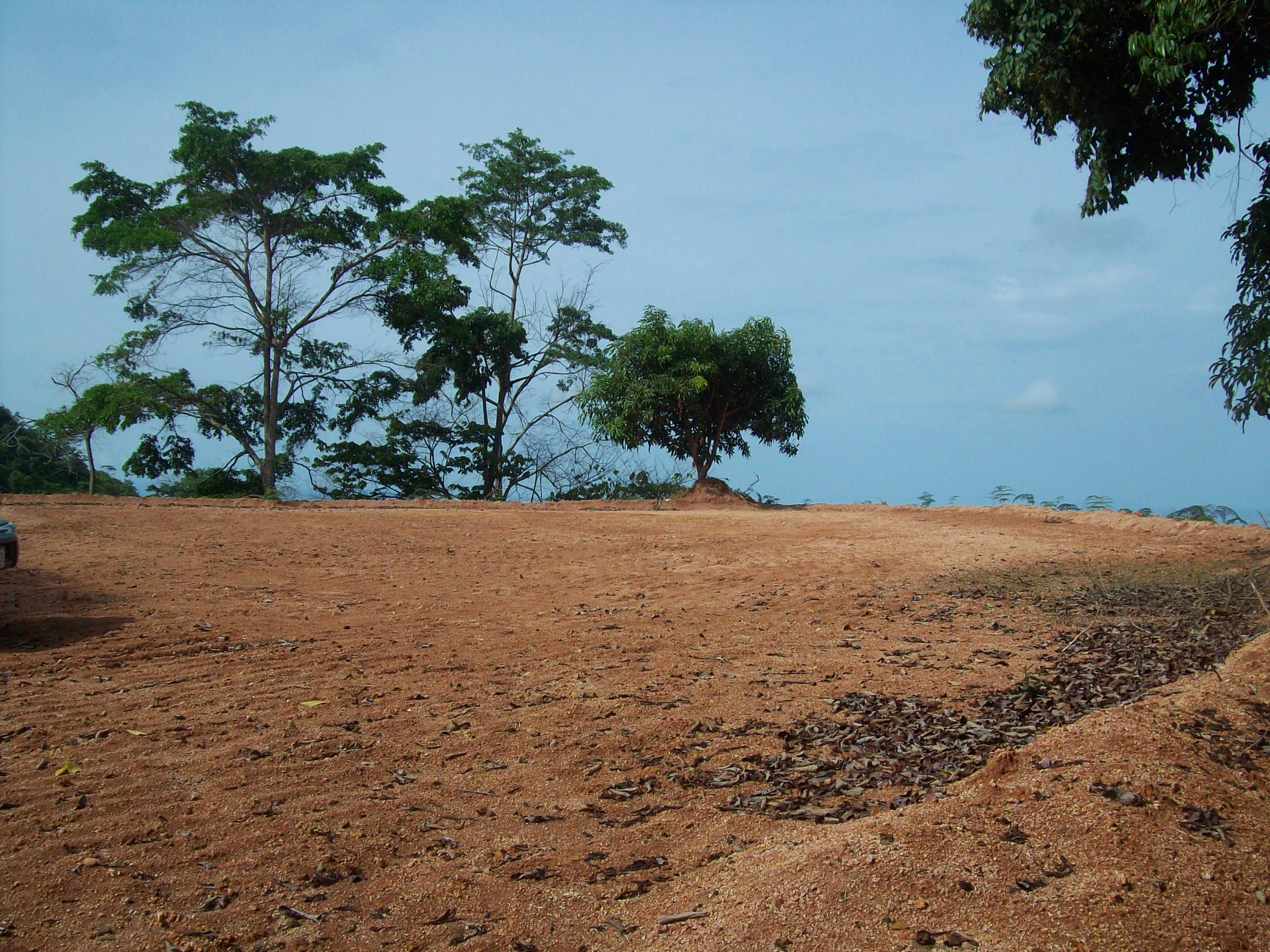 0 bed Land For Sale in Ojochal, Puntarenas - thumb 6