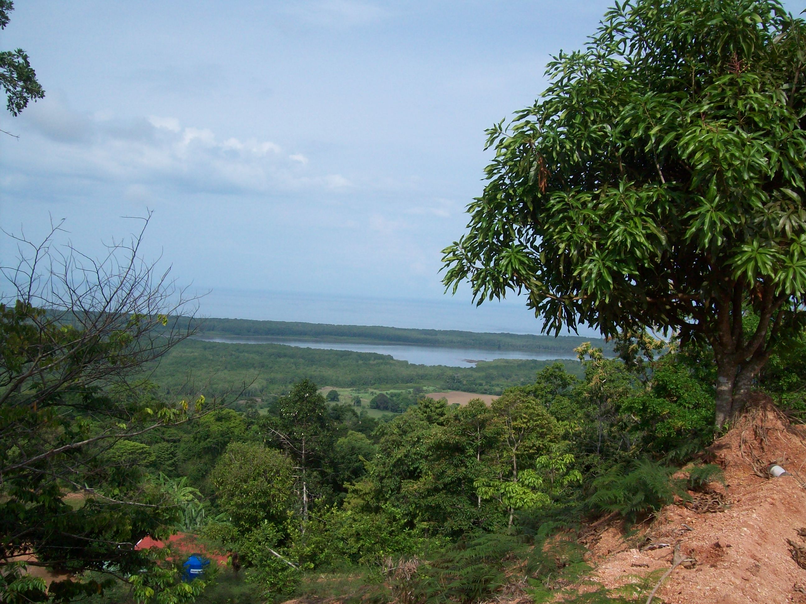 0 bed Land For Sale in Ojochal, Puntarenas - thumb 1