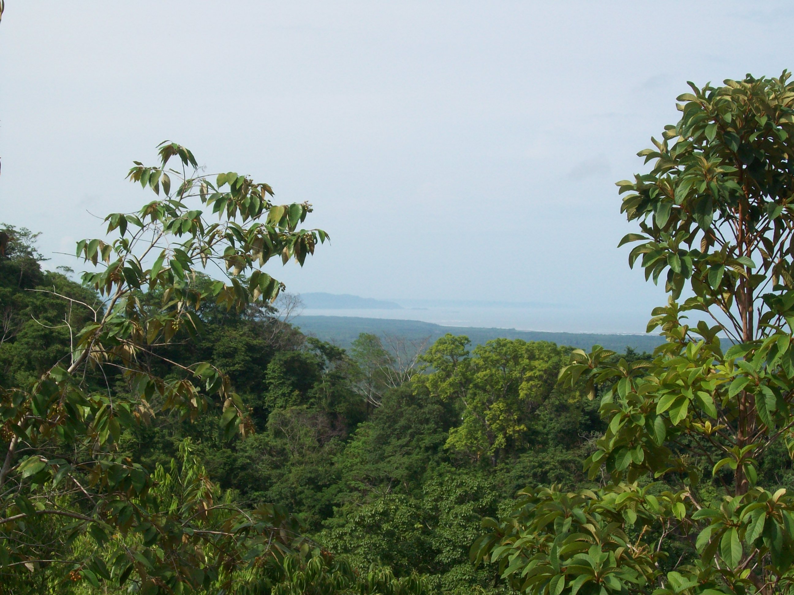 0 bed Land For Sale in Ojochal, Puntarenas - thumb 5