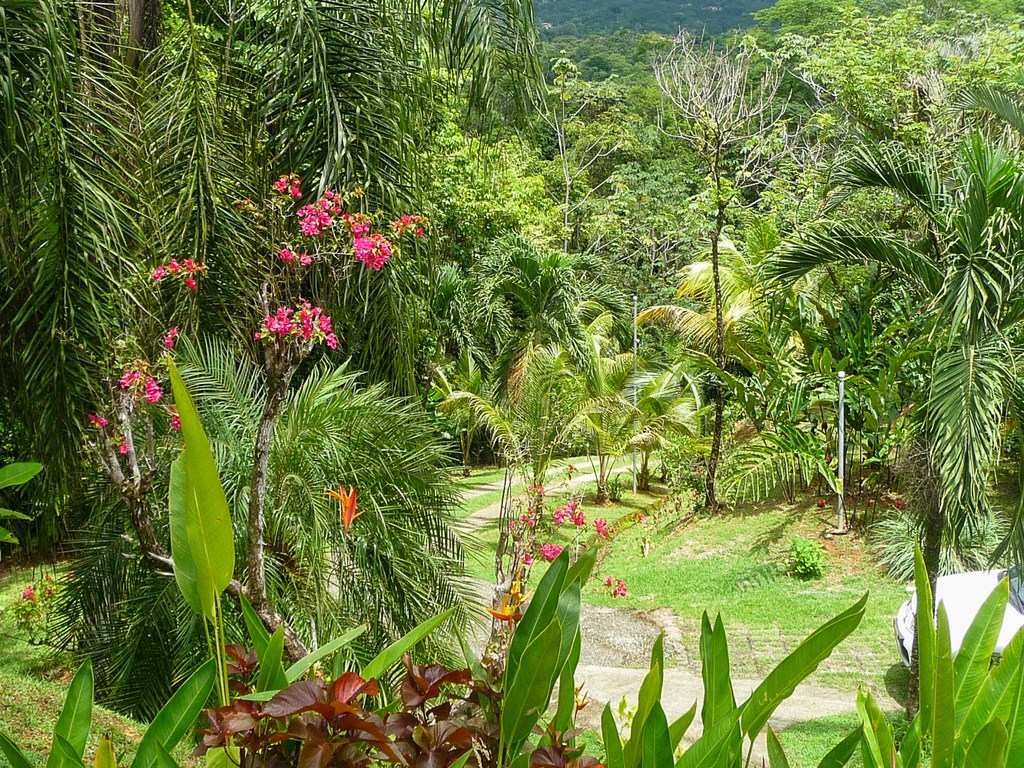 3 bed Single Family Homes For Sale in Ojochal, Puntarenas - thumb 18