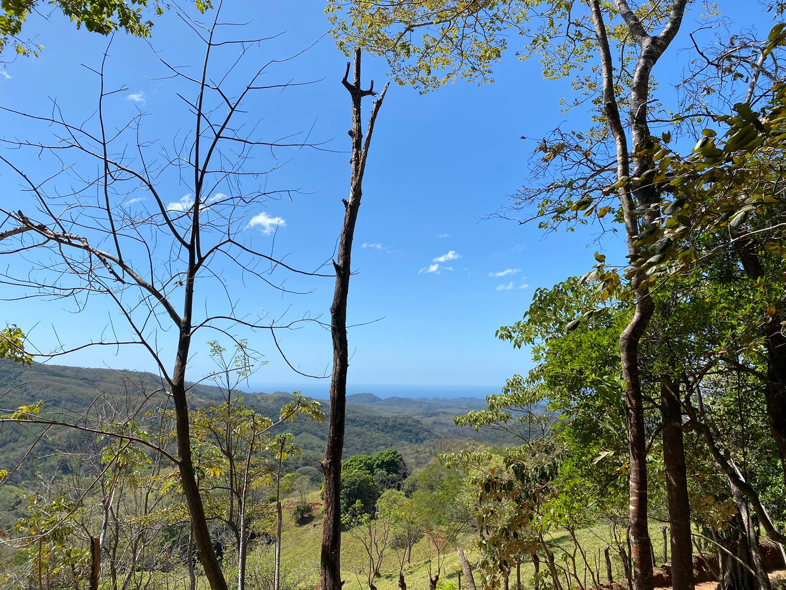 0 bed Land For Sale in Samara, Guanacaste - thumb 8