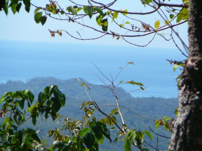 0 bed Land For Sale in Samara, Guanacaste - thumb 2