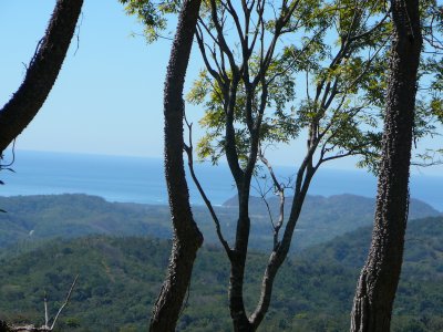 0 bed Land For Sale in Samara, Guanacaste - thumb 3