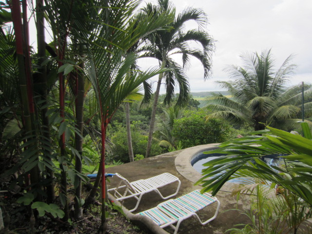 2 bed Single Family Homes For Sale in Matapalo, Puntarenas - thumb 18