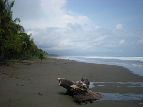 2 bed Single Family Homes For Sale in Matapalo, Puntarenas - thumb 22