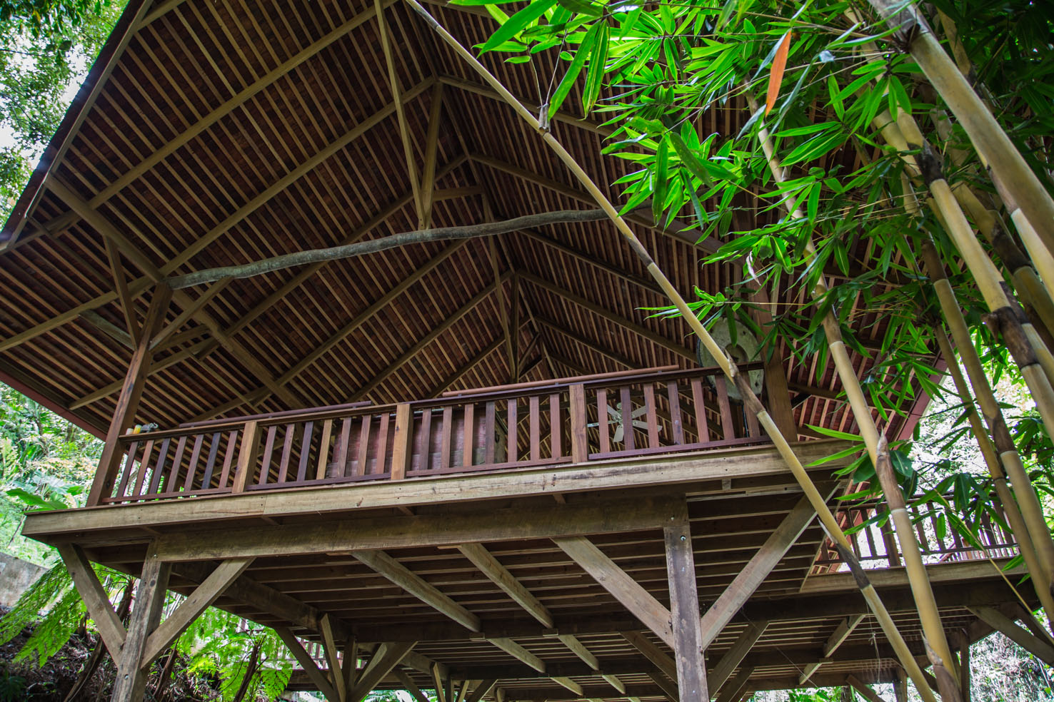 5 bed Single Family Homes For Sale in Dominical, Puntarenas - thumb 16