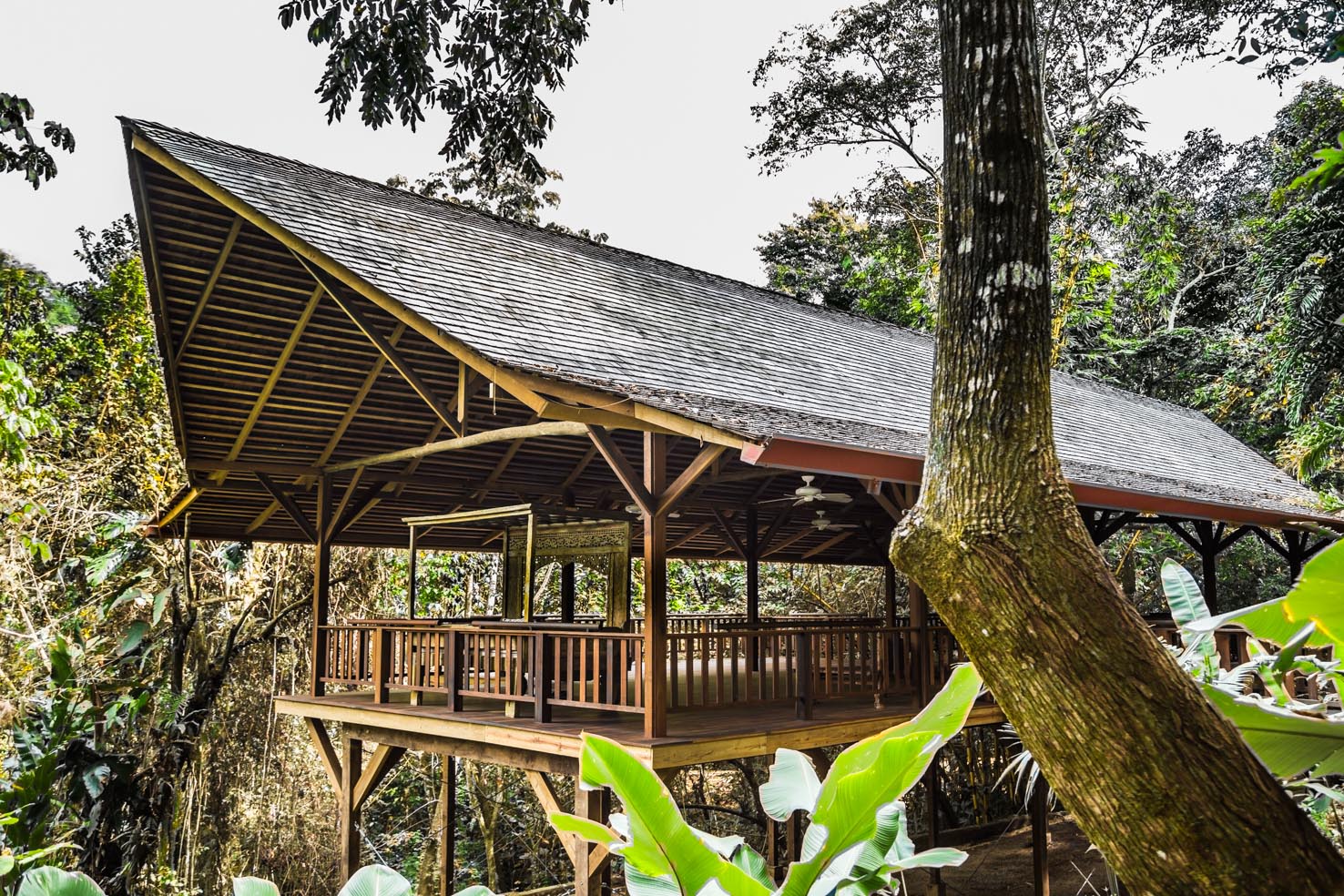 5 bed Single Family Homes For Sale in Dominical, Puntarenas - thumb 17
