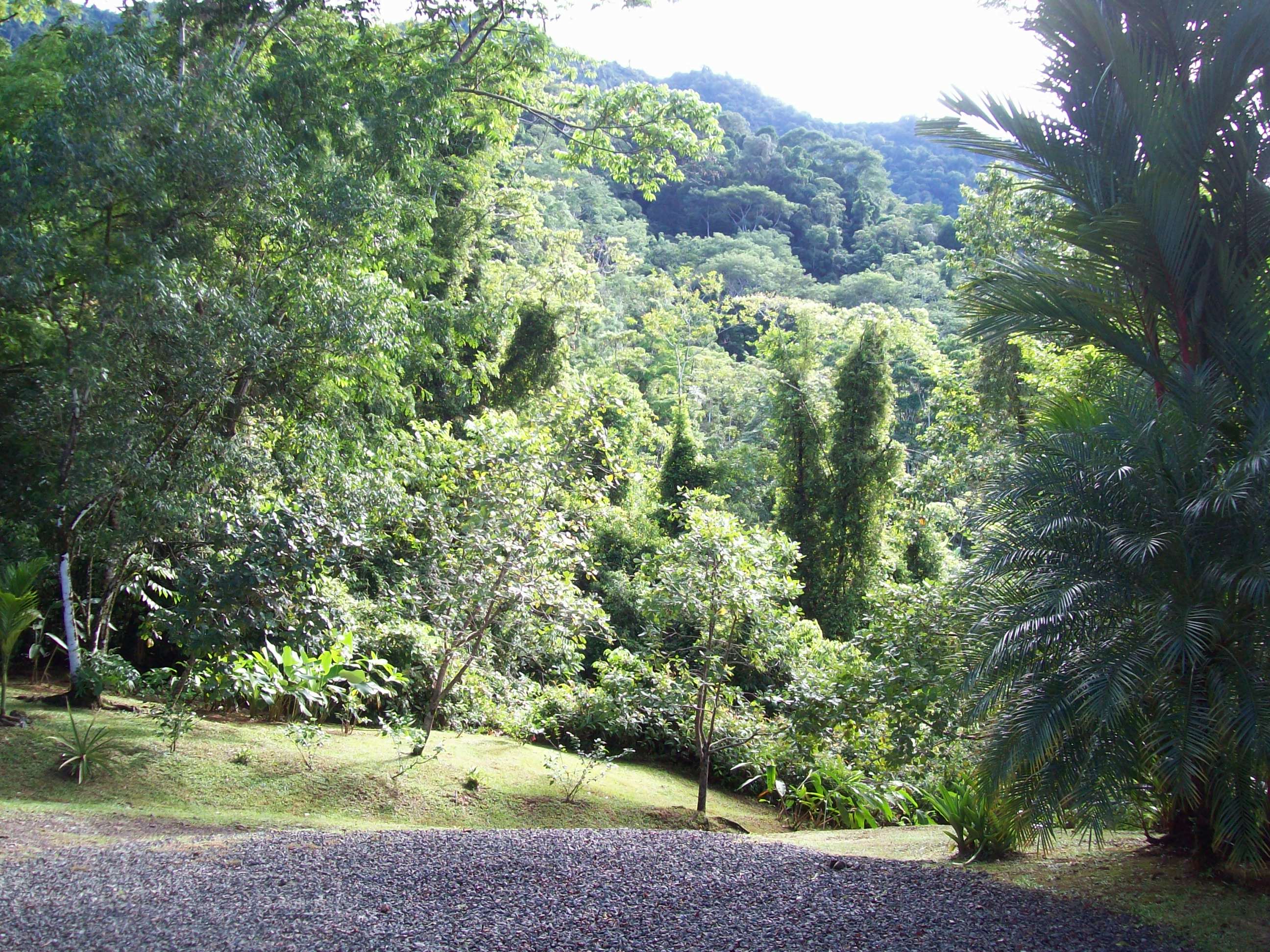 2 bed Single Family Homes For Sale in Ojochal, Puntarenas - thumb 17