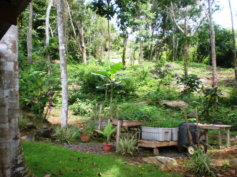 2 bed Single Family Homes For Sale in Dominical, Puntarenas - thumb 24