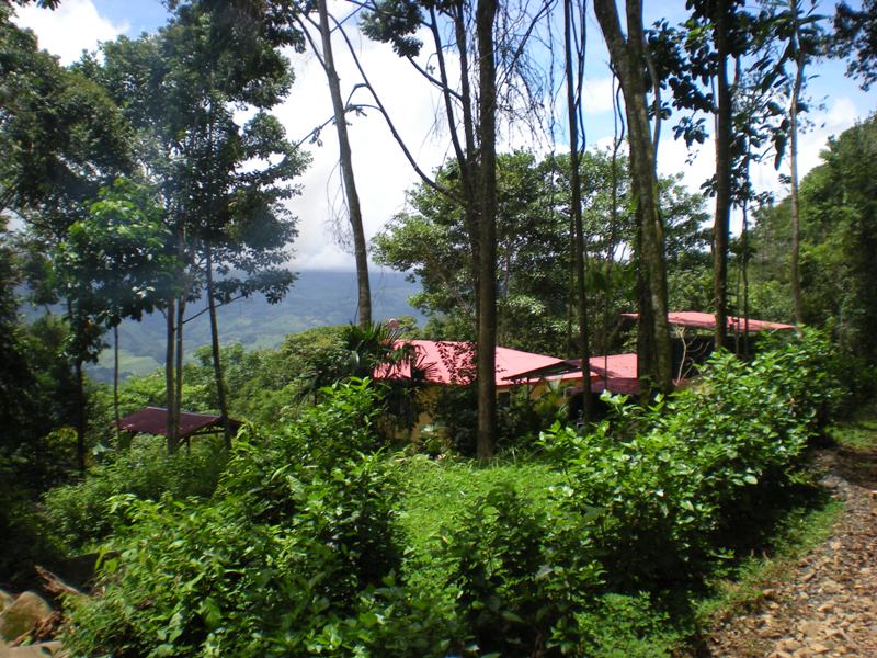 2 bed Single Family Homes For Sale in Dominical, Puntarenas - thumb 27
