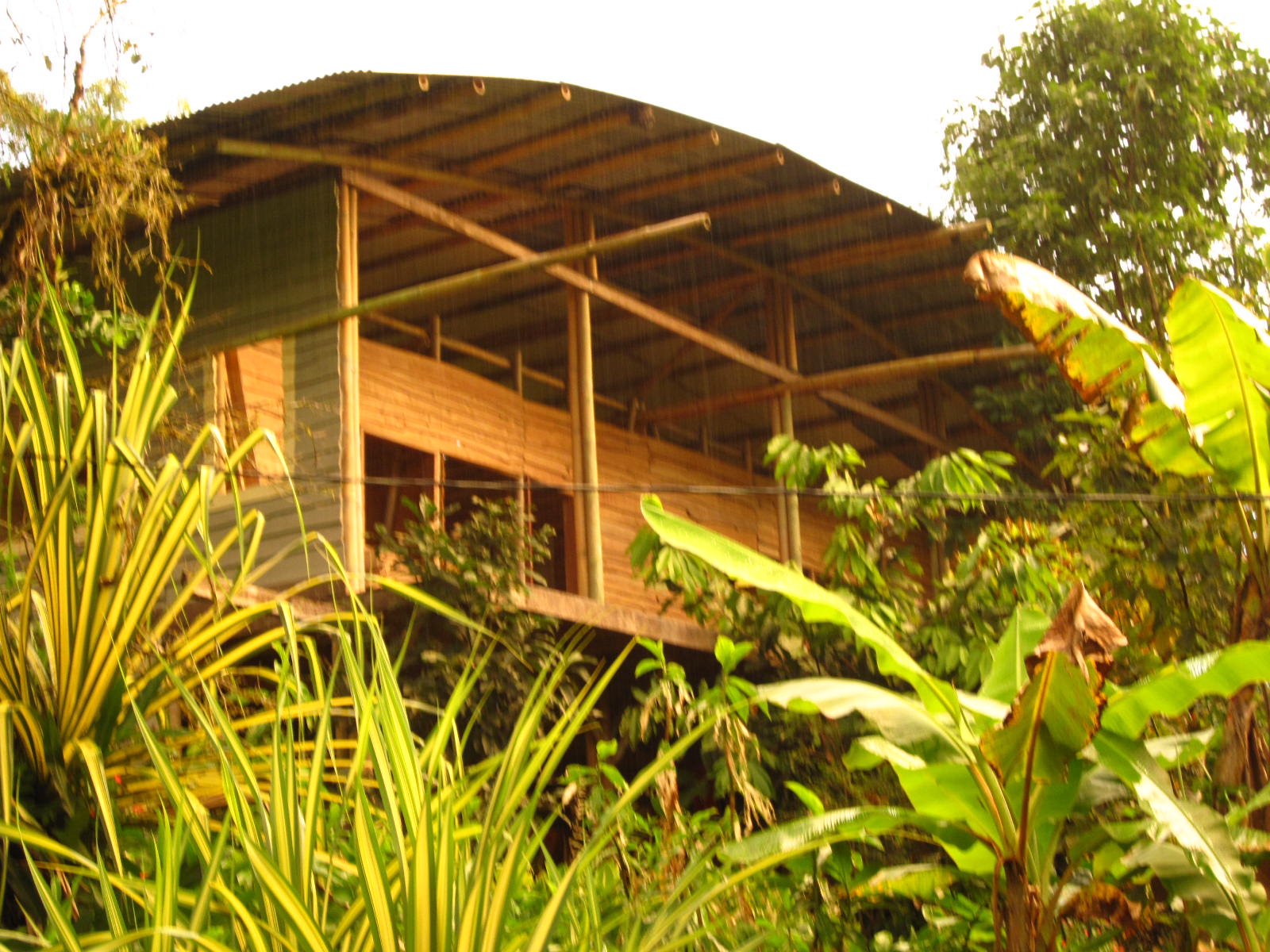 12 bed Single Family Homes For Sale in Dominical, Puntarenas - thumb 2