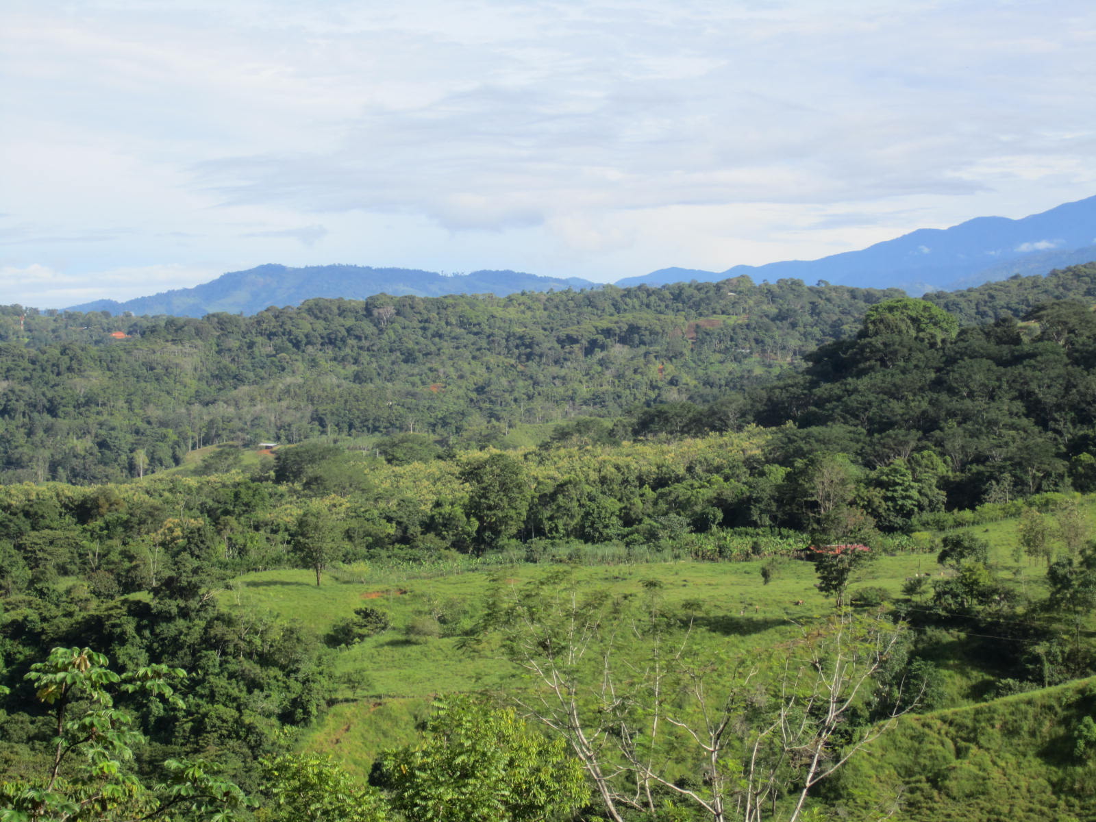 12 bed Single Family Homes For Sale in Dominical, Puntarenas - thumb 3