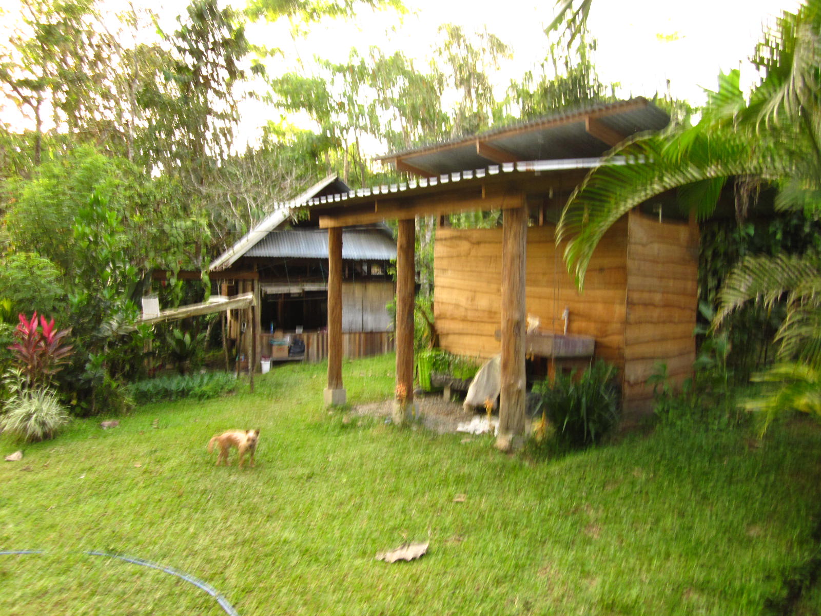 12 bed Single Family Homes For Sale in Dominical, Puntarenas - thumb 6