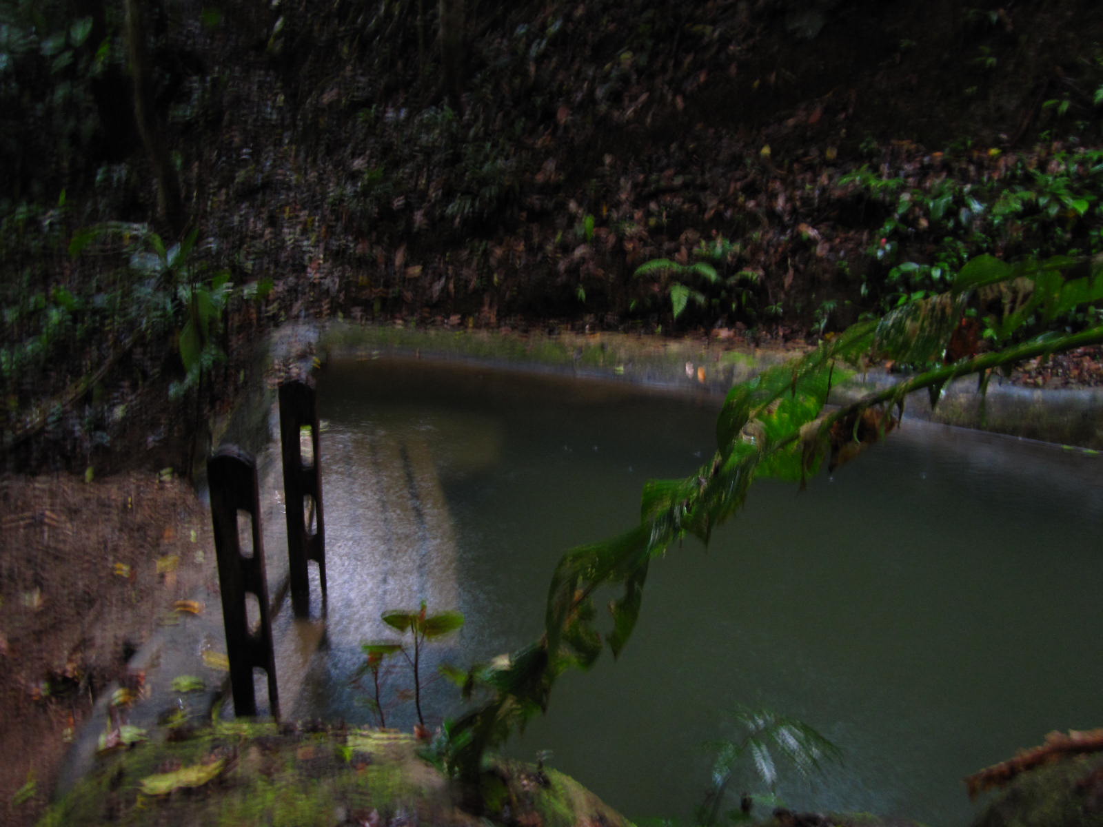 12 bed Single Family Homes For Sale in Dominical, Puntarenas - thumb 7