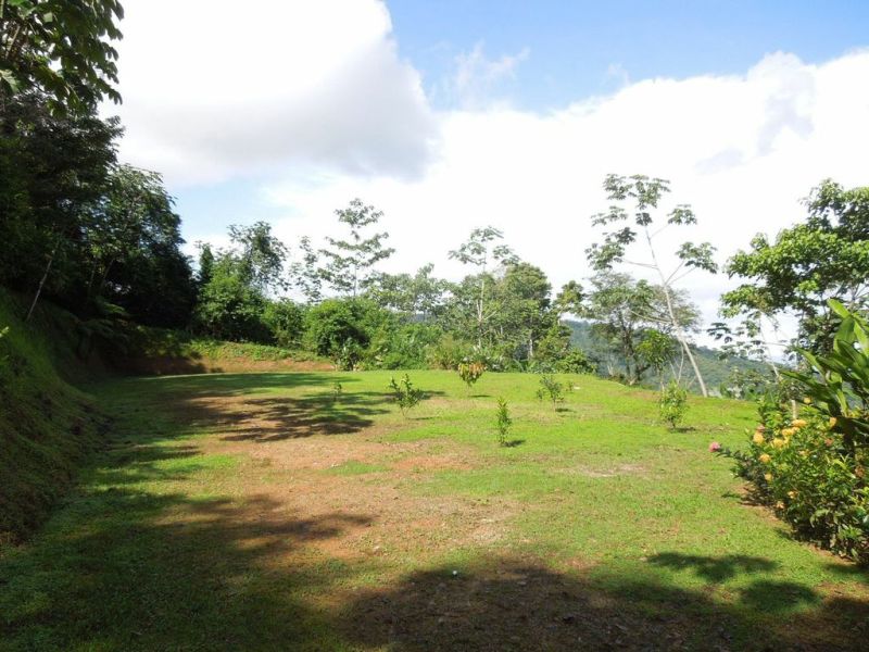2 bed Single Family Homes For Sale in Dominical, Puntarenas - thumb 13