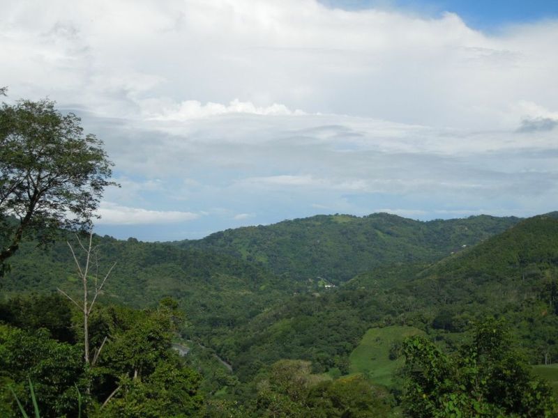 2 bed Single Family Homes For Sale in Dominical, Puntarenas - thumb 3