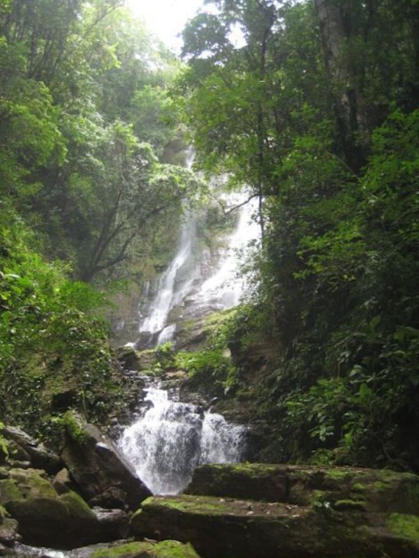 2 bed Single Family Homes For Sale in Dominical, Puntarenas - thumb 17