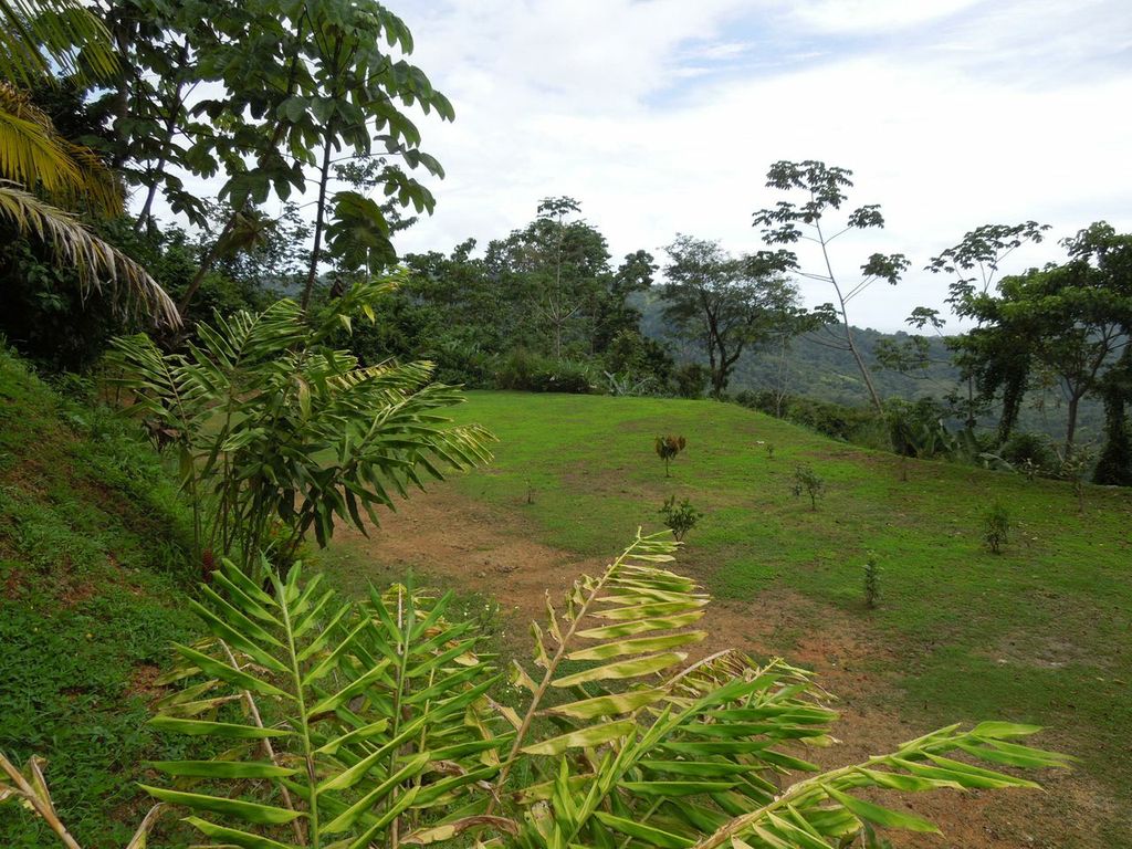 2 bed Single Family Homes For Sale in Dominical, Puntarenas - thumb 4