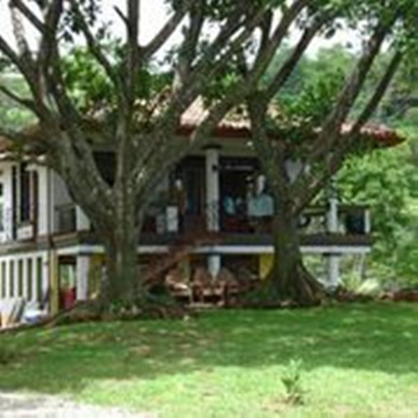 3 bed Single Family Homes For Sale in Dominical, Puntarenas - thumb 17