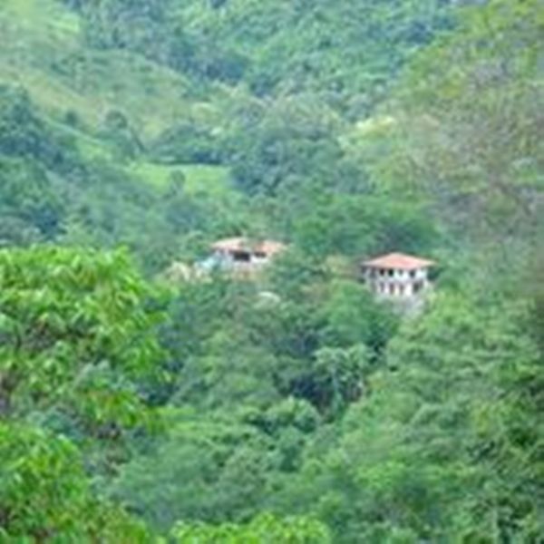 3 bed Single Family Homes For Sale in Dominical, Puntarenas - thumb 23