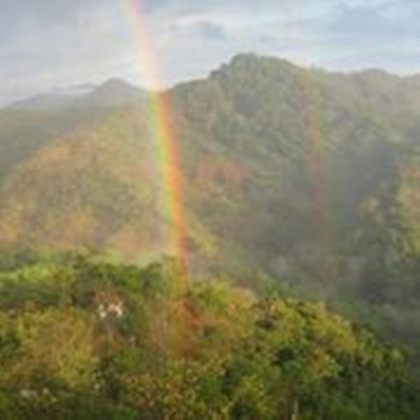 3 bed Single Family Homes For Sale in Dominical, Puntarenas - thumb 22