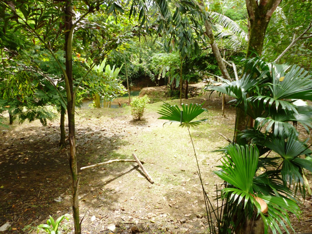 10 bed Hotel / Leisure For Sale in Uvita, Puntarenas - thumb 16