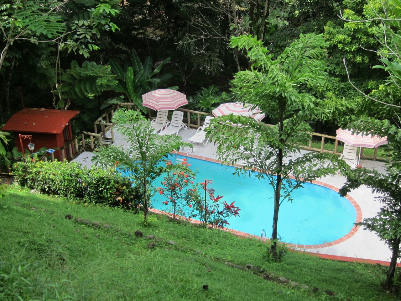 10 bed Hotel / Leisure For Sale in Uvita, Puntarenas - thumb 1