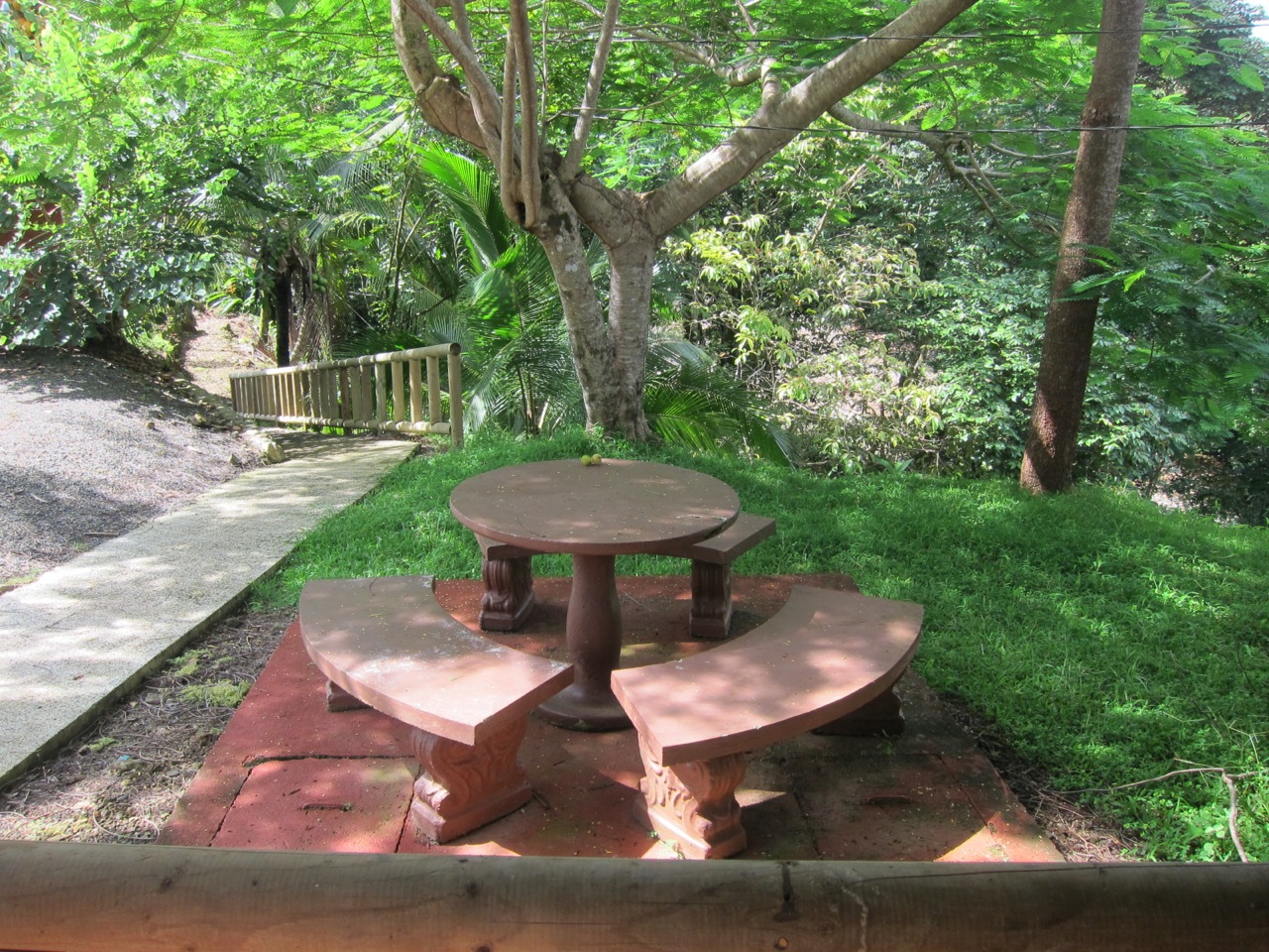 10 bed Hotel / Leisure For Sale in Uvita, Puntarenas - thumb 19