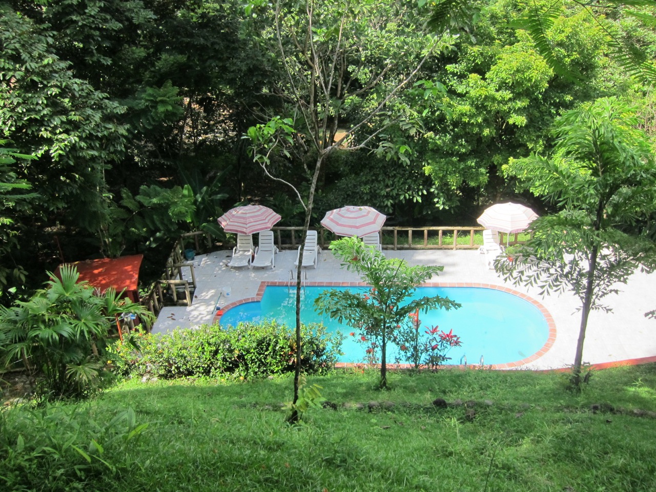 10 bed Hotel / Leisure For Sale in Uvita, Puntarenas - thumb 13